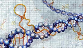 长沙岳麓区艾碧维生物科技有限公司官网正式上线