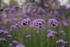 芙蓉区建立网站包含哪些成本？